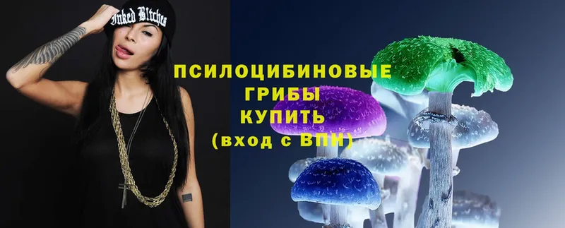 Галлюциногенные грибы Magic Shrooms  Белово 